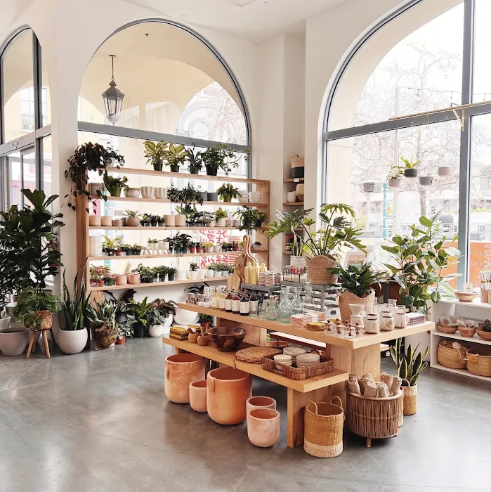 Botanic and Luxe 9