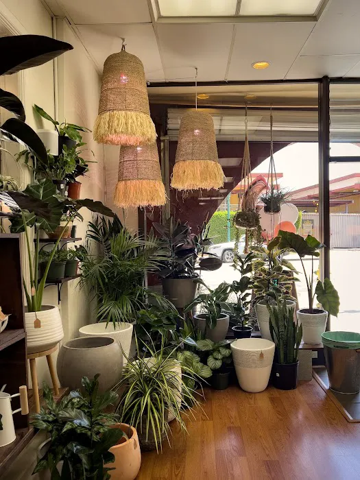 Botanic and Luxe 3