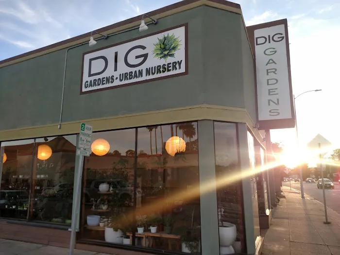 Dig Gardens 1