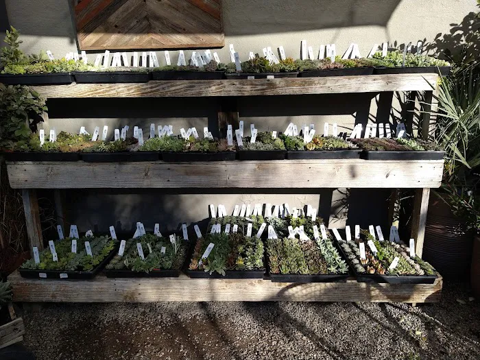 Dig Gardens 0