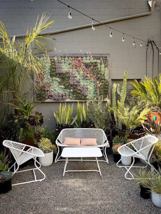 Dig Gardens 7