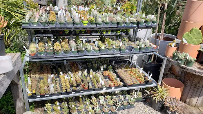 Dig Gardens 6