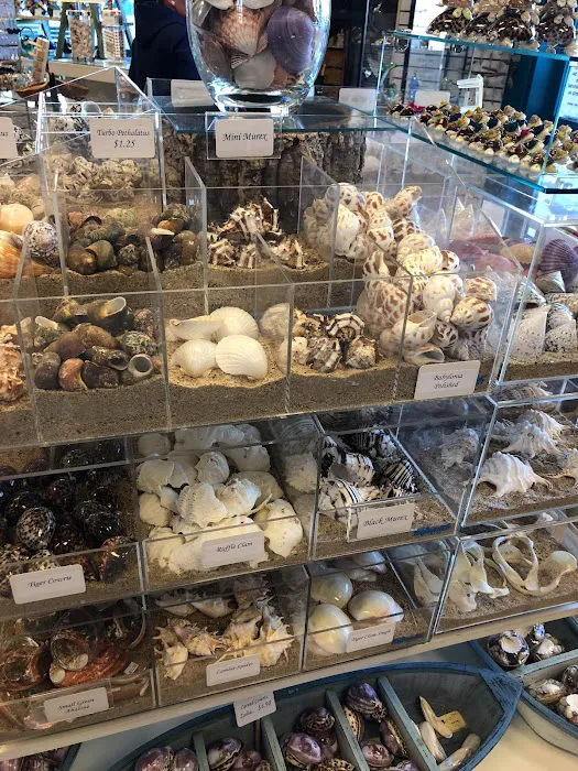 Bonnie's Gift Shop 9