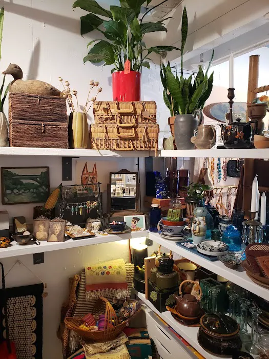 Salt Jewelry Studio & Gift Store 0