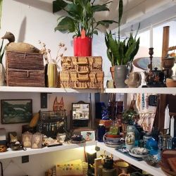 Salt Jewelry Studio & Gift Store ico
