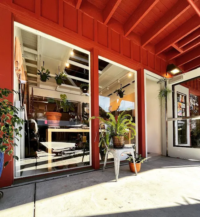 Salt Jewelry Studio & Gift Store 6