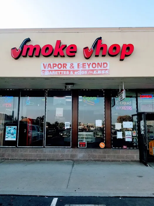 Lala Land Smoke Shop 7