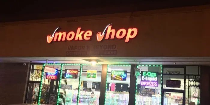 Lala Land Smoke Shop 1