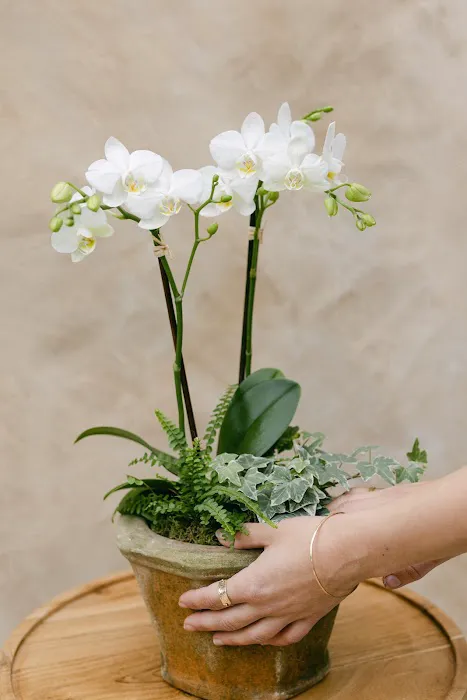 Bella Jardin 0