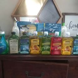 Melaleuca ico