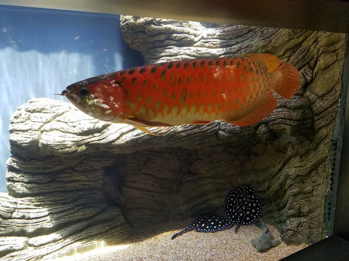 Waikiki Aquarium Gift Shop 8