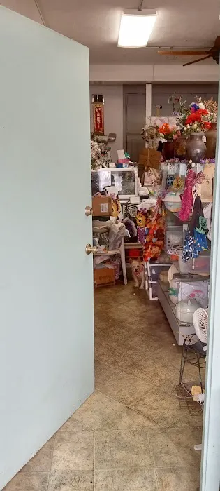 Crafty Bear 0