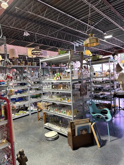 Vintage Oasis Omaha 4