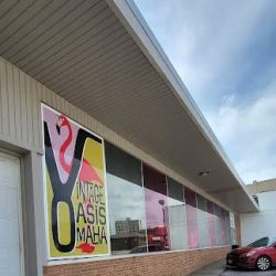 Vintage Oasis Omaha ico