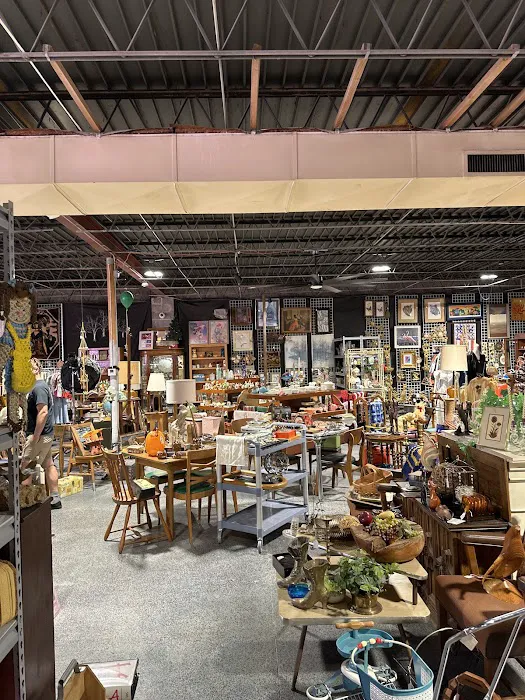 Vintage Oasis Omaha 3
