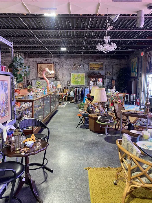 Vintage Oasis Omaha 5