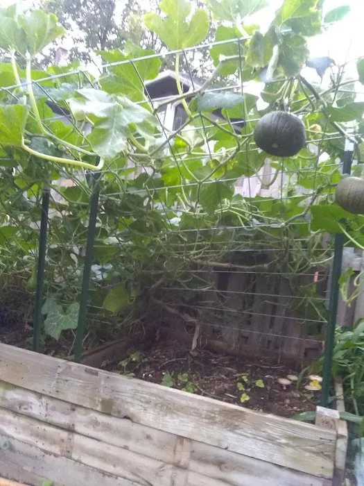 Gardens on Glen 5