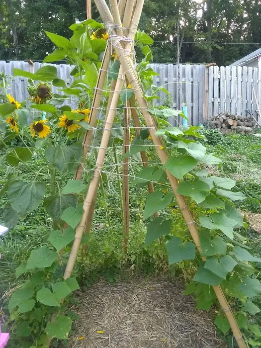 Gardens on Glen 0