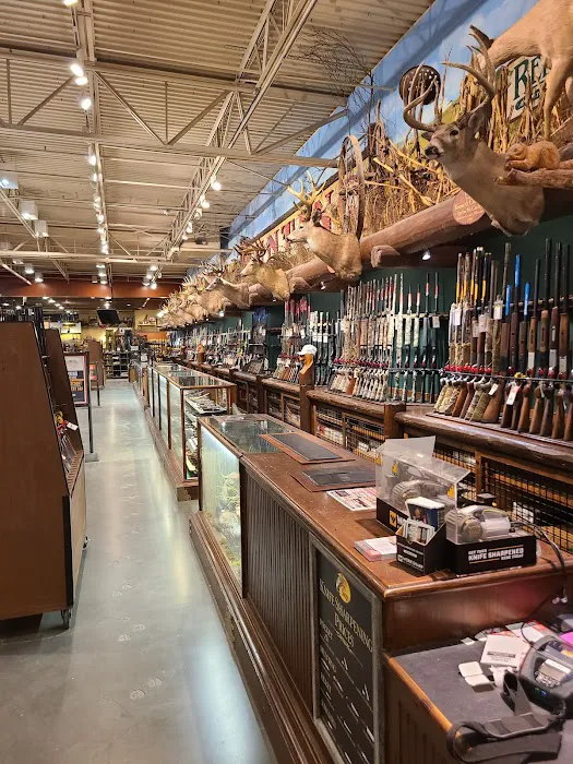 Bass Pro Shops 6