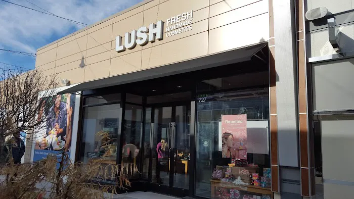 Lush Cosmetics Hilldale - Madison 4