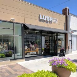 Lush Cosmetics Hilldale - Madison ico