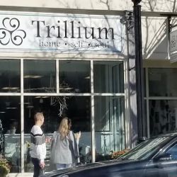 Trillium ico