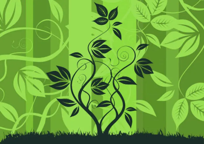 Koast Kratom & Metaphysical shop 4