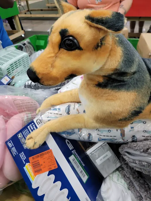 Bargain Bins Biloxi 7