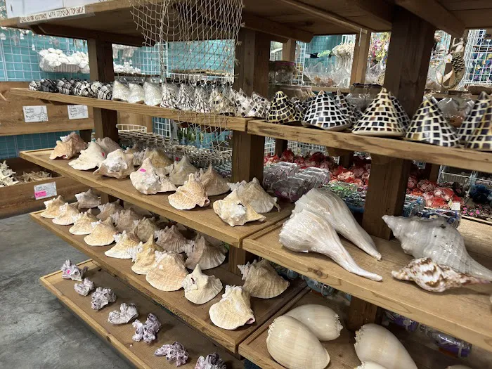 Sharkheads 8