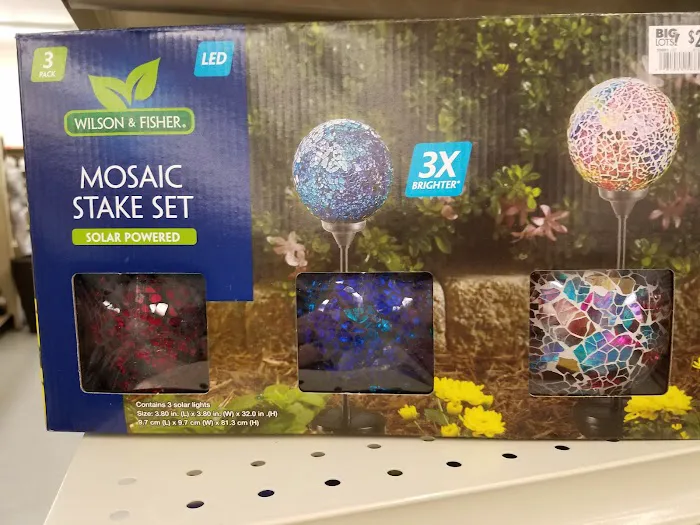 Big Lots 8