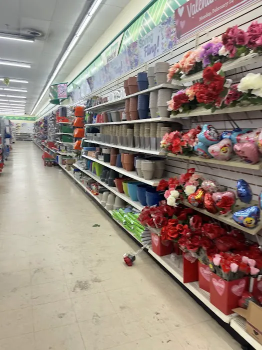 Big Lots 1