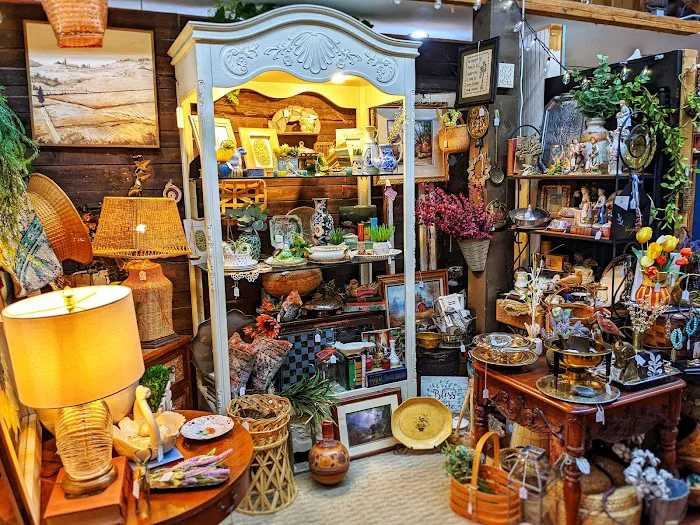Feathered Nest Market 4