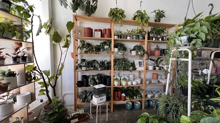 Out on a Limb Boutique 0