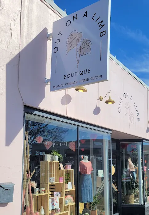 Out on a Limb Boutique 8