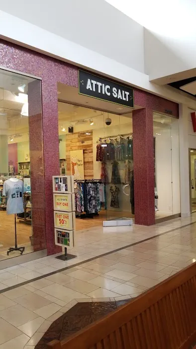 Attic Salt 7