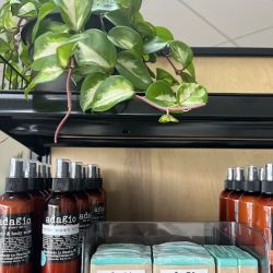 Adagio Soap Products ico