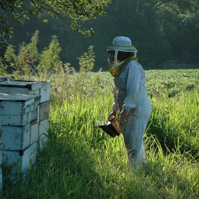 It's All About Bees 7