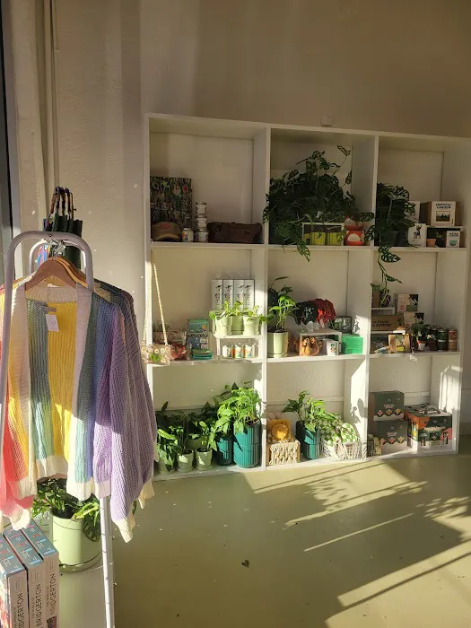 Out on a Limb Boutique 8