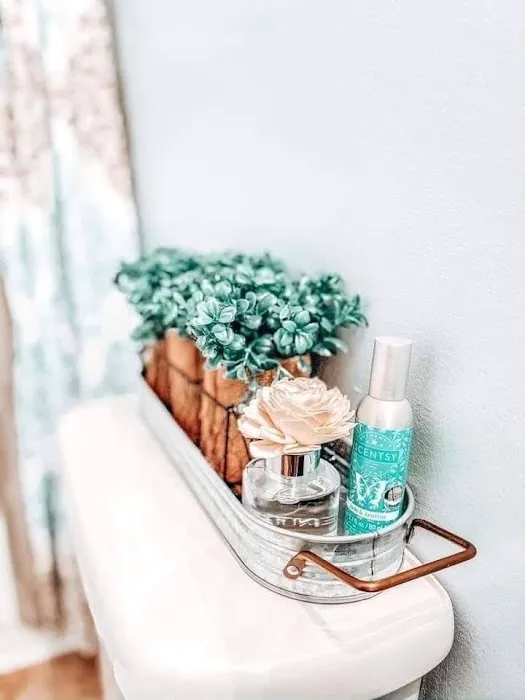 Carrie Hoger, Independent Scentsy Consultant 3