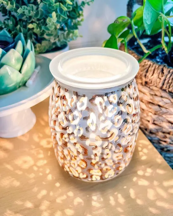 Carrie Hoger, Independent Scentsy Consultant 8