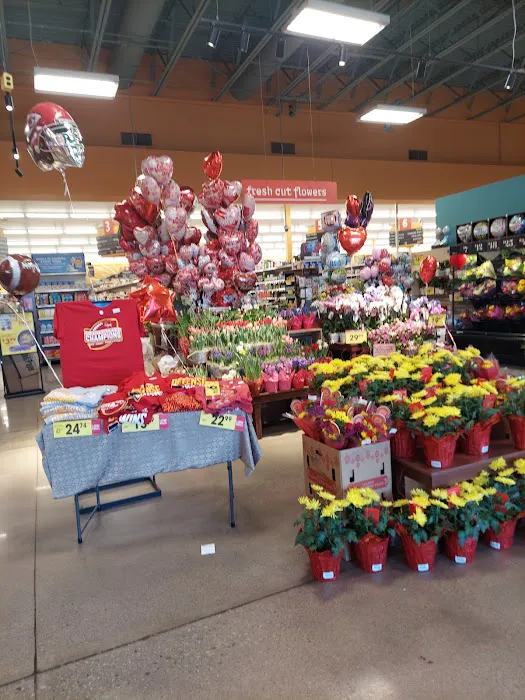 Dillons 1