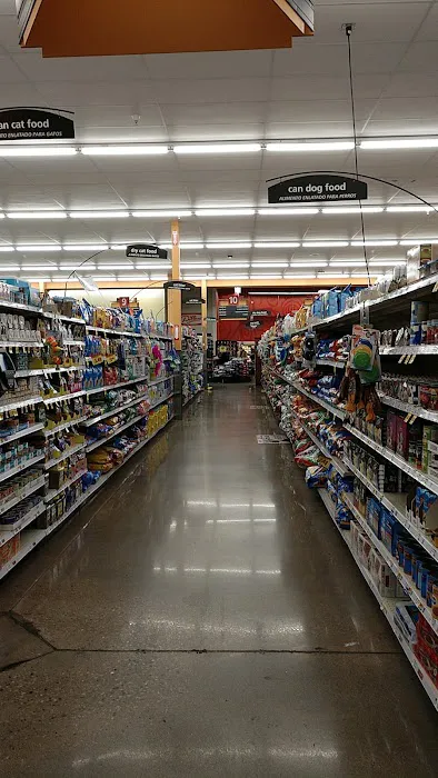 Dillons 6