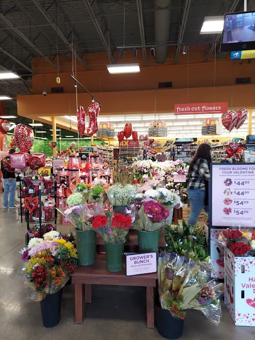 Dillons 8