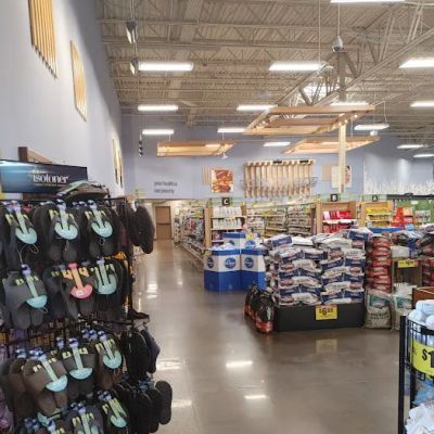 Dillons