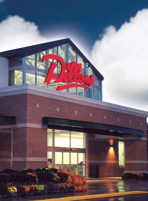 Dillons 8