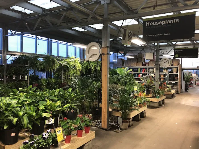 The Home Depot 8