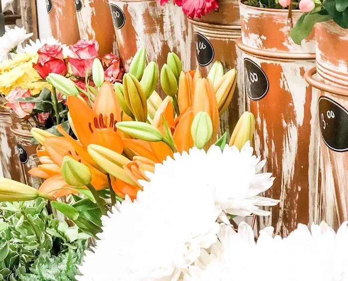 Local and Bloom LLC 2