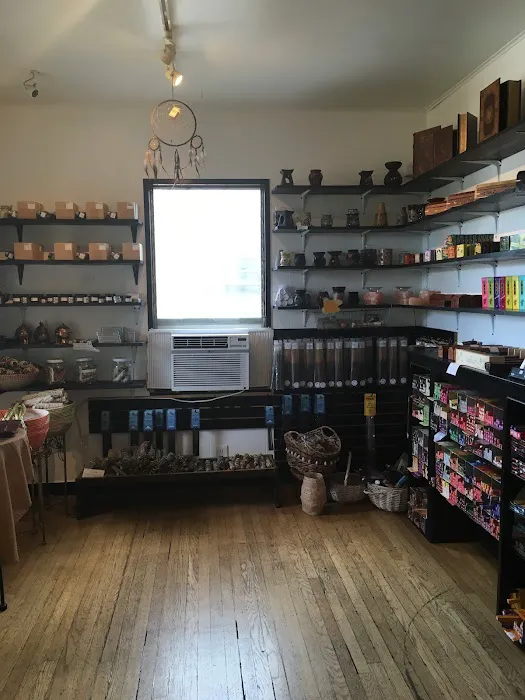 House of Intuition Echo Park 7