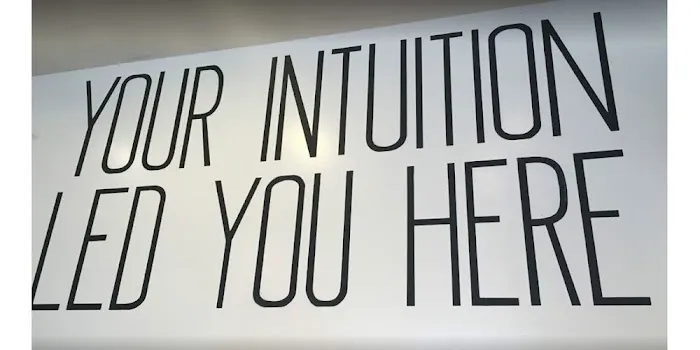 House of Intuition Echo Park 9