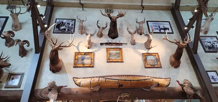 Bass Pro Shops 6